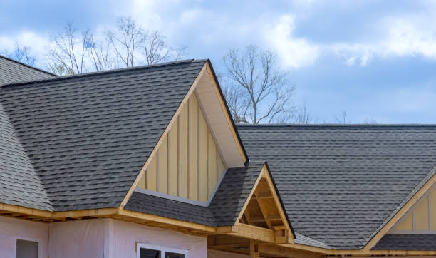 Best Asphalt Shingle Roofing  in Whitestown, IN