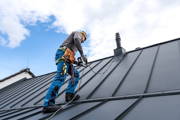 Best Roof Moss and Algae Removal  in Whitestown, IN